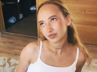 adult video chat room VeniceMidden